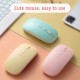 Pazariz Klavye Mouse Seti Klavye Mouse Set Mini Q Kablosuz 2.4G Wirelless Multimedya Siyah