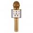 Pazariz Wster Ws-858 Gold Karaoke Mikrofon Bluetooth Hoparlör Aux Usb Mikro Sd Kart Girişli 