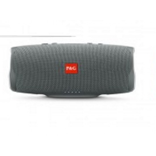 Pazariz Charge4+  Orta Boy Taşınabilir Bluetooth Hoparlör