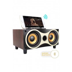 Pazariz Masa Üstü Speaker Bluetooth Hoparlör