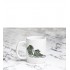 Yeşil Converse Larry Bird_Kupa Bardak