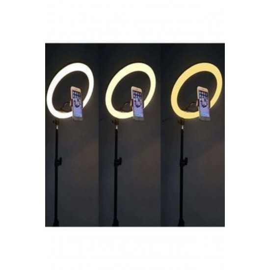 Pazariz  Led Tripod Işıklı Telefon Tutucu Makyaj Işığı Ring Light 10 Inç + 2.1 M Tripod 