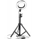 Pazariz  Led Tripod Işıklı Telefon Tutucu Makyaj Işığı Ring Light 10 Inç + 2.1 M Tripod 