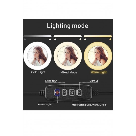 Pazariz  Led Tripod Işıklı Telefon Tutucu Makyaj Işığı Ring Light 10 Inç + 2.1 M Tripod 