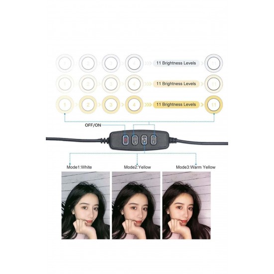 Pazariz  Led Tripod Işıklı Telefon Tutucu Makyaj Işığı Ring Light 10 Inç + 2.1 M Tripod 