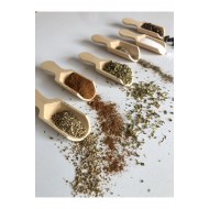 Pazariz 12li Mini Kürek Baharat Kaşığı